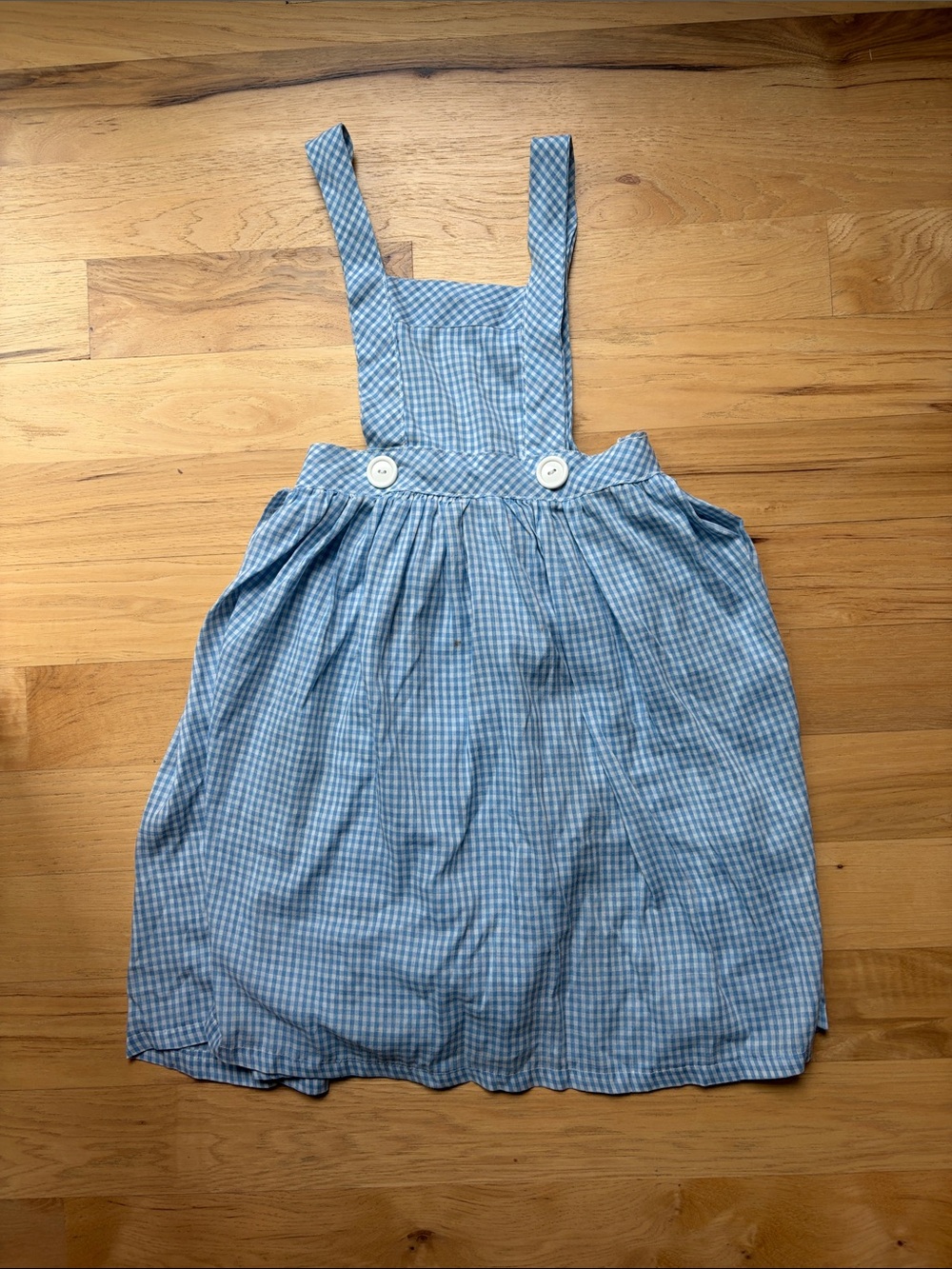 Dorothy from The Wizard of Oz Light Blue Gingham Dress